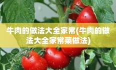 牛肉的做法大全家常(牛肉的做法大全家常菜做法)