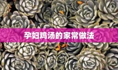 孕妇鸡汤的家常做法