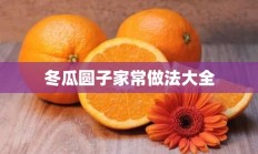 冬瓜圆子家常做法大全