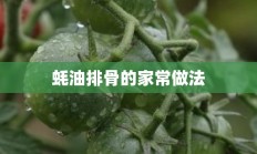 蚝油排骨的家常做法