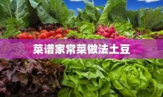 菜谱家常菜做法土豆