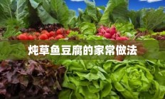 炖草鱼豆腐的家常做法