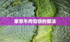 家常牛肉馅饼的做法