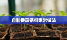 自制番茄锅料家常做法