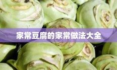 家常豆腐的家常做法大全