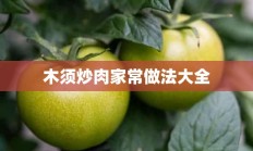 木须炒肉家常做法大全