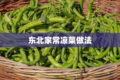 东北家常凉菜做法