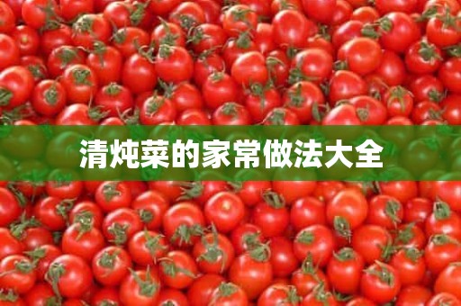 清炖菜的家常做法大全