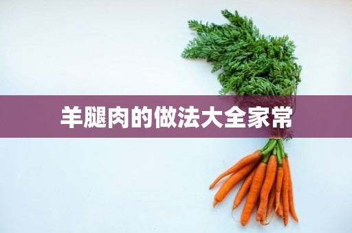 羊腿肉的做法大全家常