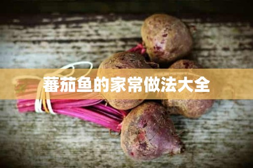 蕃茄鱼的家常做法大全