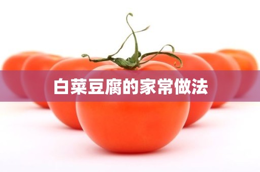 白菜豆腐的家常做法