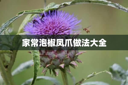 家常泡椒凤爪做法大全