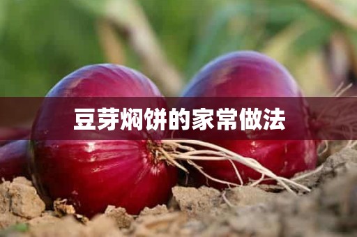 豆芽焖饼的家常做法