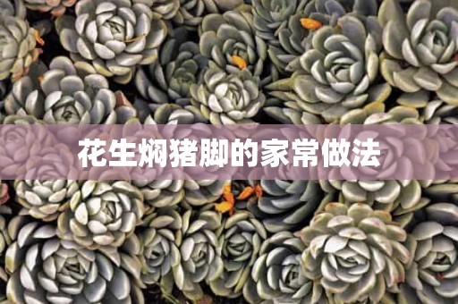 花生焖猪脚的家常做法