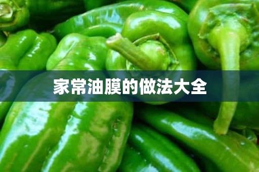 家常油膜的做法大全