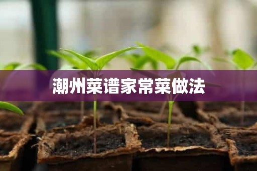 潮州菜谱家常菜做法