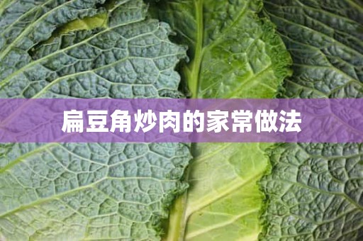 扁豆角炒肉的家常做法