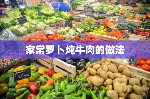 家常罗卜炖牛肉的做法