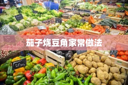 茄子烧豆角家常做法