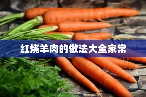 红烧羊肉的做法大全家常