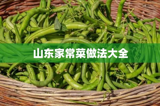 山东家常菜做法大全