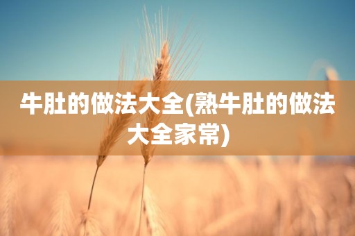 牛肚的做法大全(熟牛肚的做法大全家常)