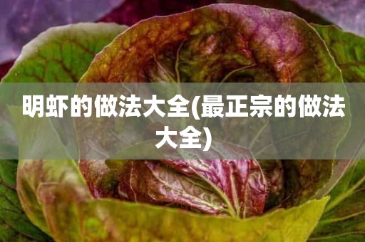 明虾的做法大全(最正宗的做法大全)