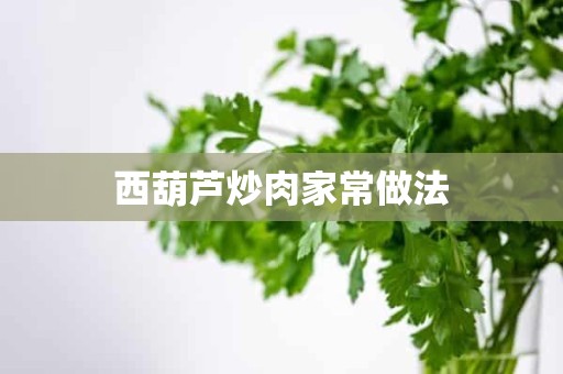 西葫芦炒肉家常做法