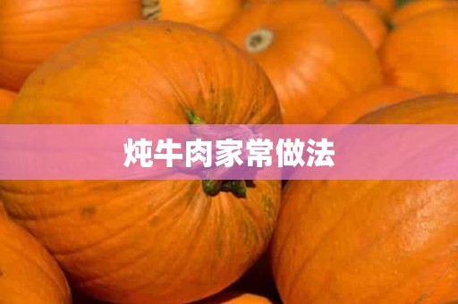 炖牛肉家常做法