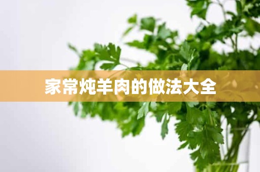 家常炖羊肉的做法大全