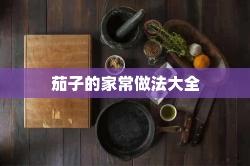 茄子的家常做法大全