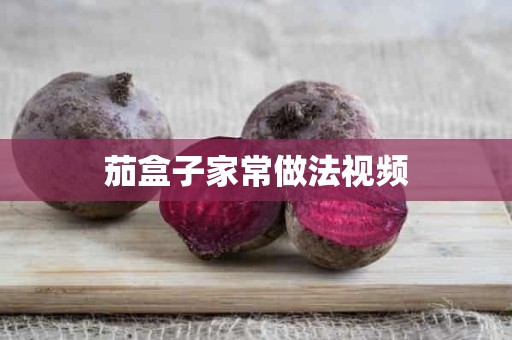 茄盒子家常做法视频