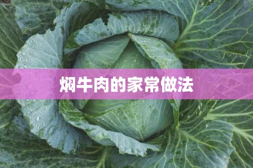 焖牛肉的家常做法