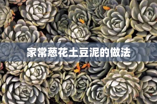 家常葱花土豆泥的做法