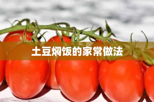 土豆焖饭的家常做法