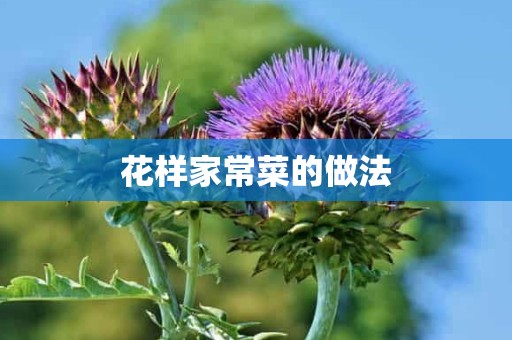 花样家常菜的做法