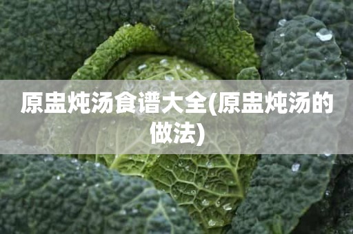 原盅炖汤食谱大全(原盅炖汤的做法)