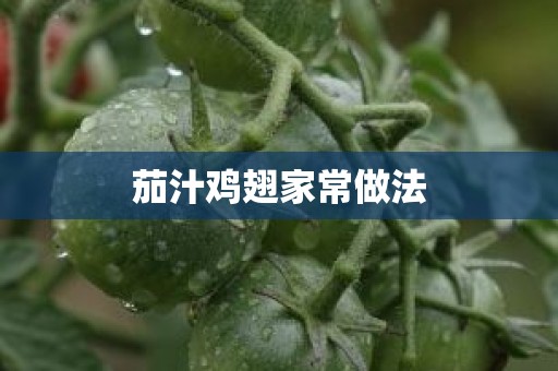 茄汁鸡翅家常做法