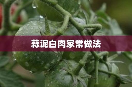 蒜泥白肉家常做法