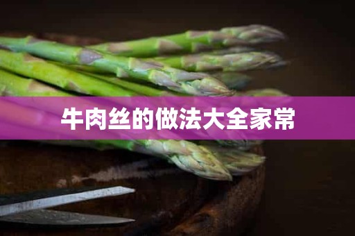 牛肉丝的做法大全家常