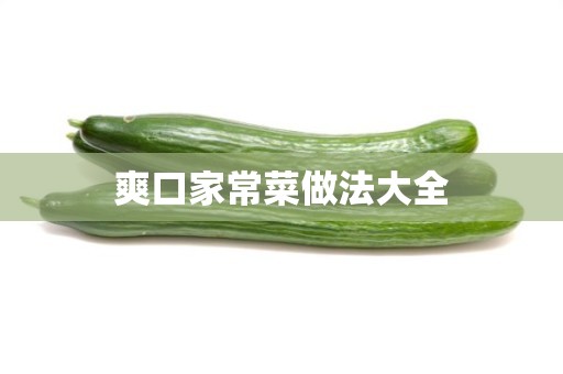 爽口家常菜做法大全