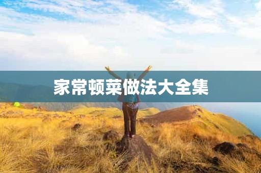 家常顿菜做法大全集