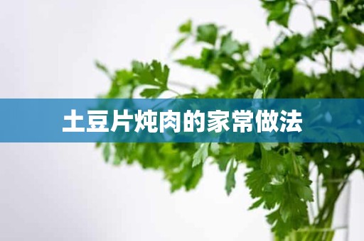 土豆片炖肉的家常做法