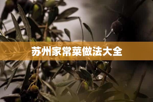 苏州家常菜做法大全