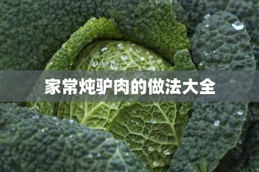 家常炖驴肉的做法大全