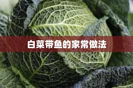 白菜带鱼的家常做法