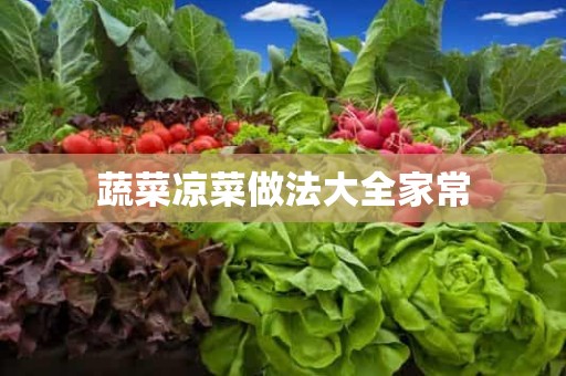 蔬菜凉菜做法大全家常