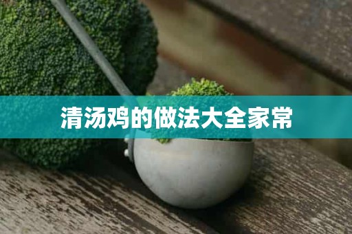 清汤鸡的做法大全家常