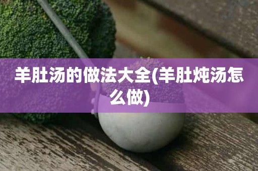 羊肚汤的做法大全(羊肚炖汤怎么做)