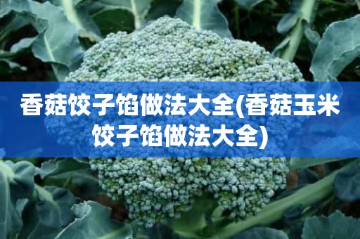 香菇饺子馅做法大全(香菇玉米饺子馅做法大全)